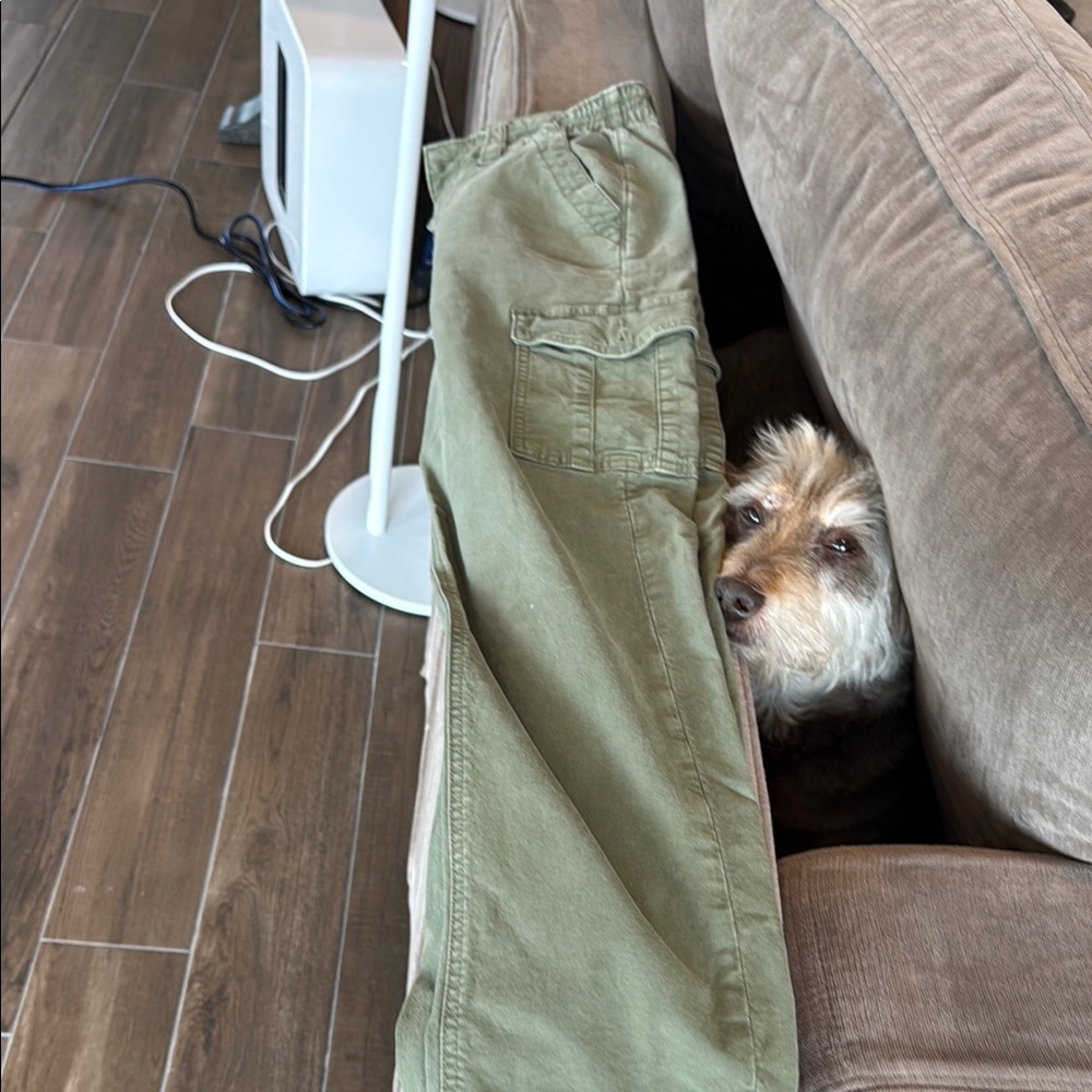 American Eagle Outfitters Green Cargo Pants